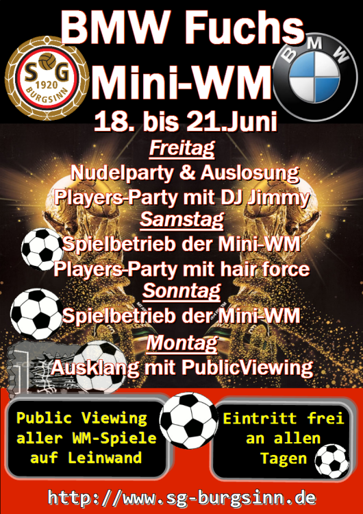 Mini-WM